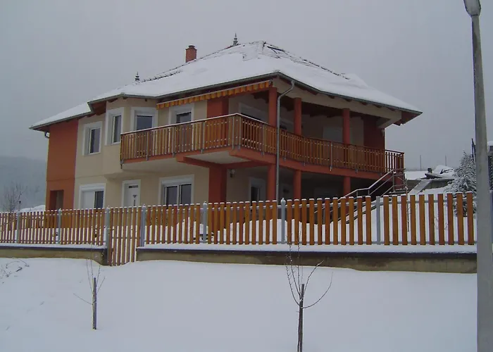 Fuegefa Vendeghaz Apartament *